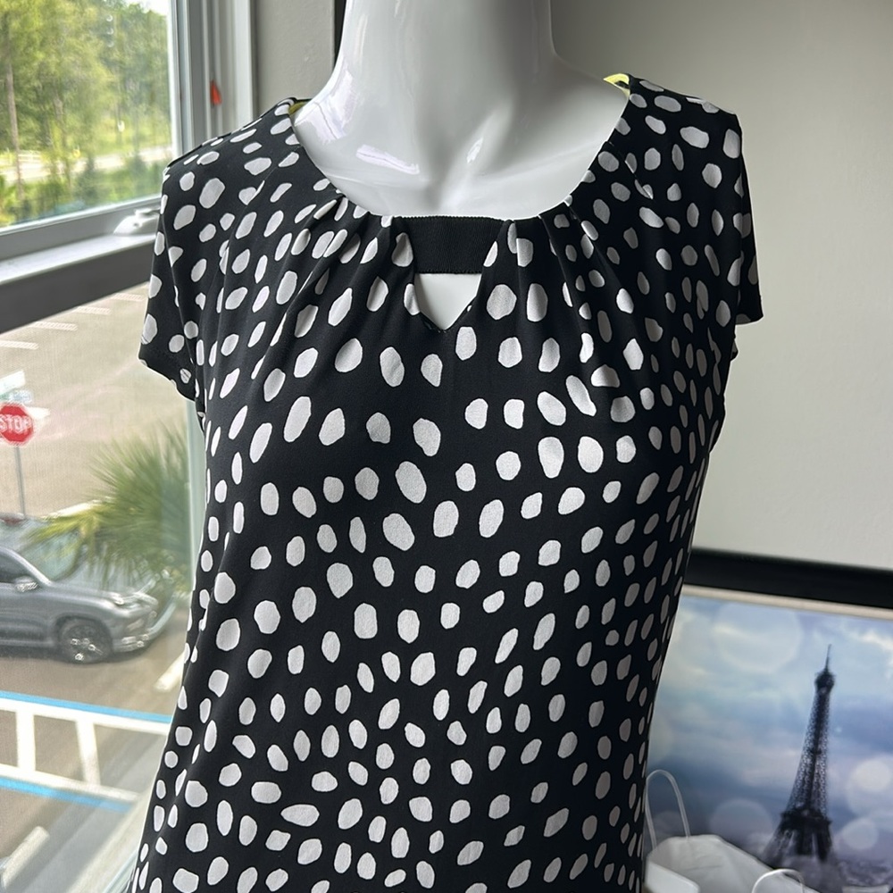 TAYLOR POLKA DOT DRESS SIZE 2 - Picture 2 of 8